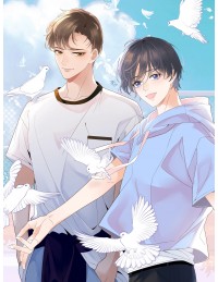 Nhịp Đập Thầm Lặng