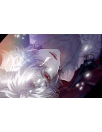 Chiều tà chưa muộn, đường về có mèo